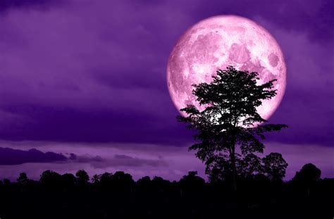pink moon astronomy